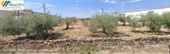  SE VENDEN 3 PARCELAS RUSTICAS. CAMI CARRETES Y CARRETERA DE ULLDECONA. - CASTELLON 