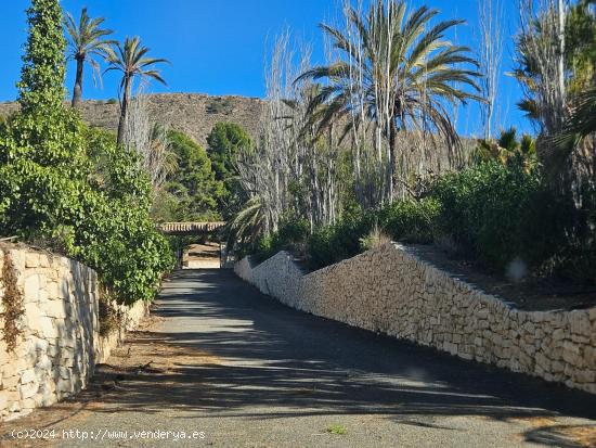  Espectacular Finca/Hotel con pinada de 50.000 m2 - ALICANTE 