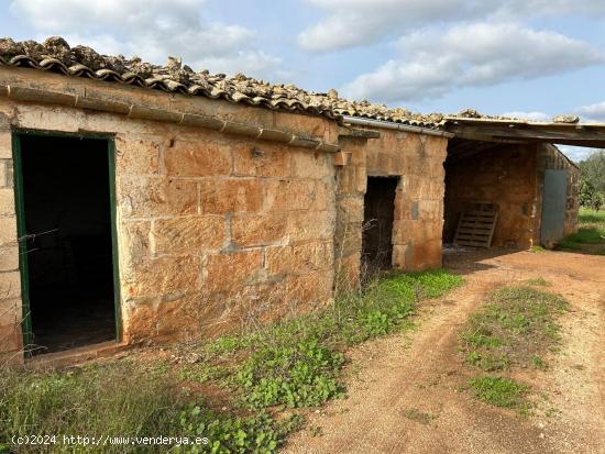 Casa Rústica pueblo de Llubí, - BALEARES