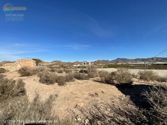 TERRENO  URBANIZABLE DE 800 METROS EN LAS MORERAS - MURCIA