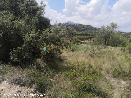 Terreno de venta en Castellon de Rugat - VALENCIA