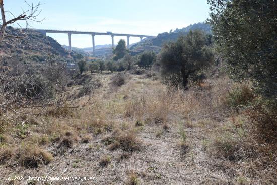 TERRENO EN VENTA EN ALCAÑIZ. Ref TR08102023 - TERUEL