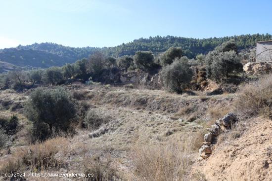 TERRENO EN VENTA EN ALCAÑIZ. Ref TR08102023 - TERUEL