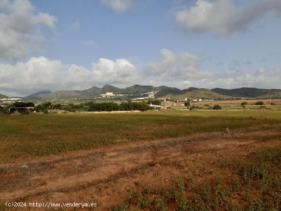 Gran terreno para construir la casa de sus sueños! - MURCIA