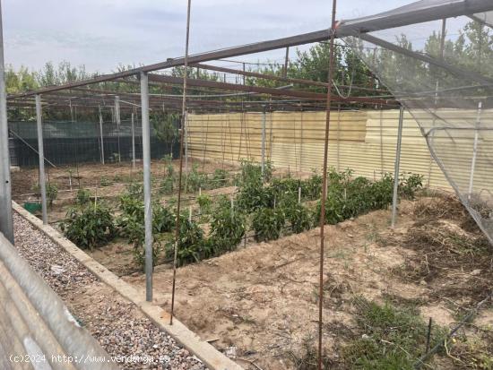 TERRENO EN LLANO DE BRUJAS - MURCIA