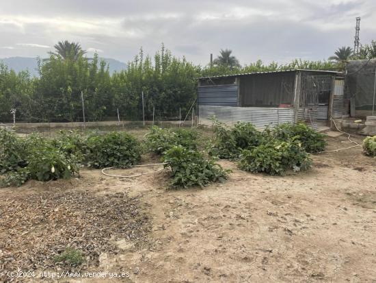 TERRENO EN LLANO DE BRUJAS - MURCIA