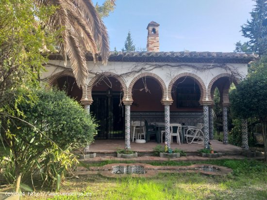  Casa en alquiler en Mijas (Málaga) 