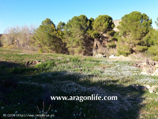 Finca en venta en Caspe (Zaragoza)