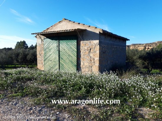 Finca en venta en Caspe (Zaragoza)