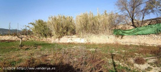 Finca en venta en Villena (Alicante)