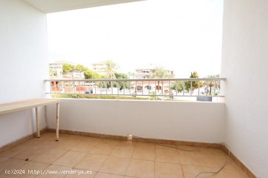 Apartamento en venta en Torrevieja (Alicante)