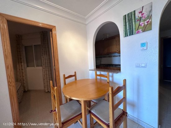 Apartamento en alquiler en Guardamar del Segura (Alicante)