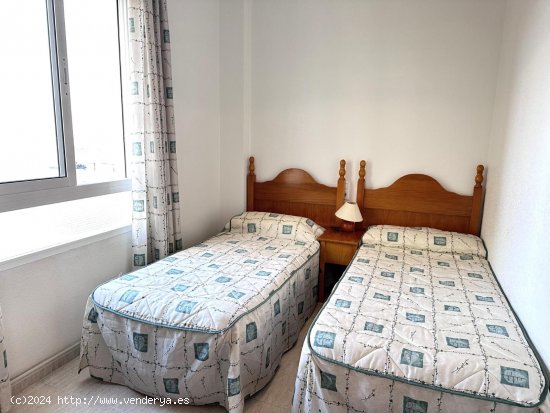 Apartamento en alquiler en Guardamar del Segura (Alicante)