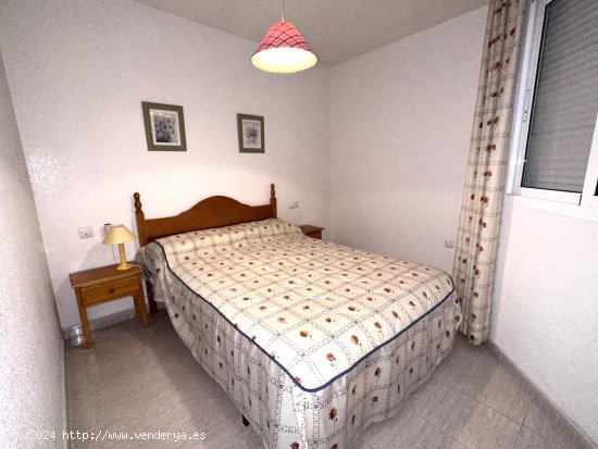 Apartamento en alquiler en Guardamar del Segura (Alicante)