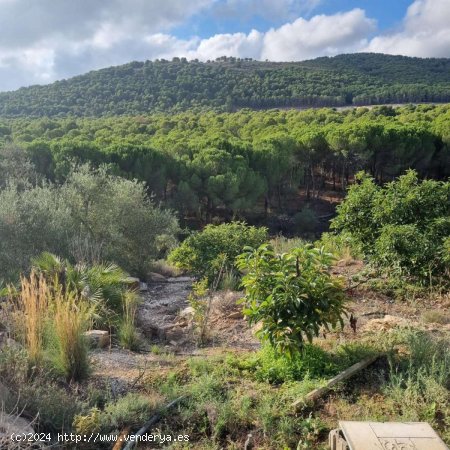 Finca en venta en Coín (Málaga)