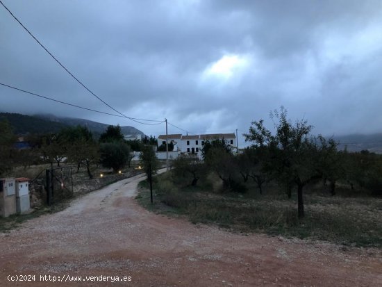 PARCELA EN LA ROMANA