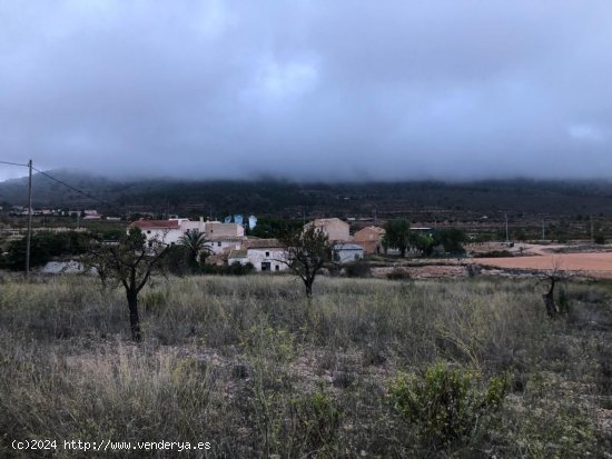 PARCELA EN LA ROMANA