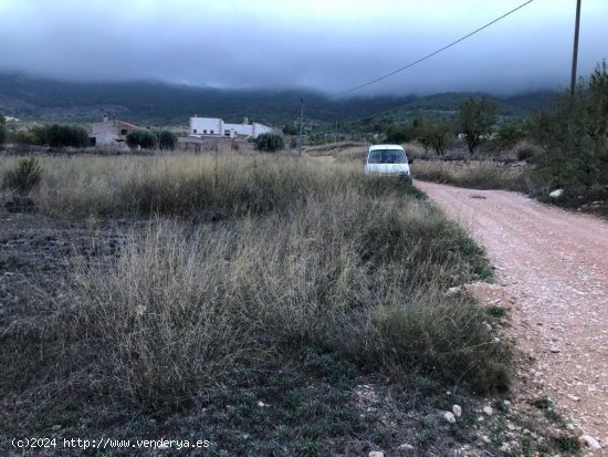 PARCELA EN LA ROMANA