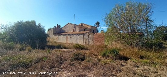 FINCA EN TORRELLANO