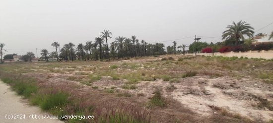 Terreno en Algoros