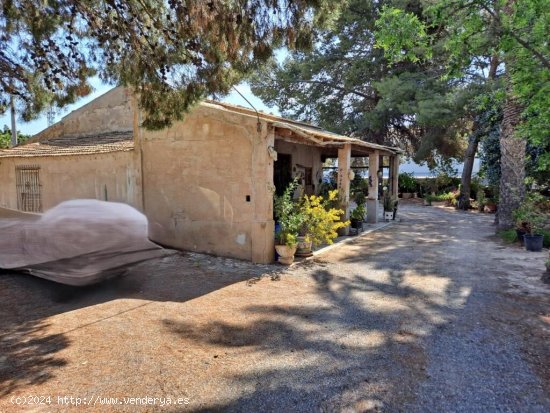 Casa de Campo en Elche Pedanias - Partida Altabix