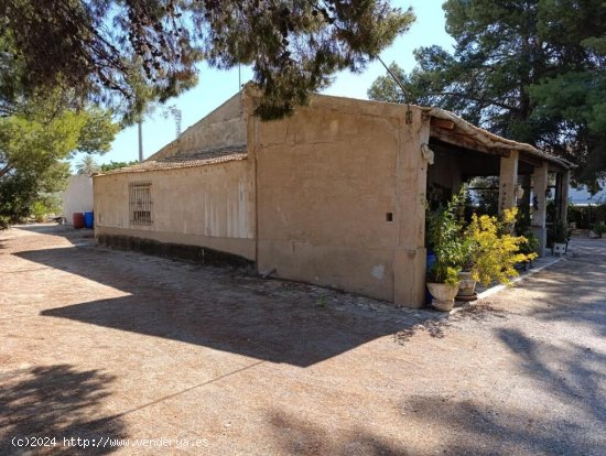 Casa de Campo en Elche Pedanias - Partida Altabix