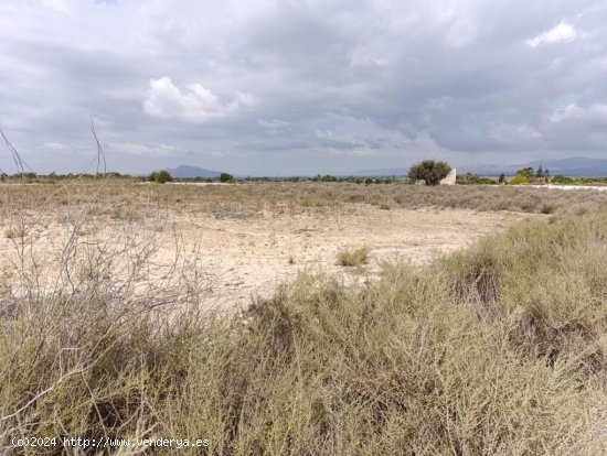 Parcela en Elche pedanias con vistas despejadas