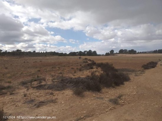 Parcela en Jumilla, ideal para construir una casa