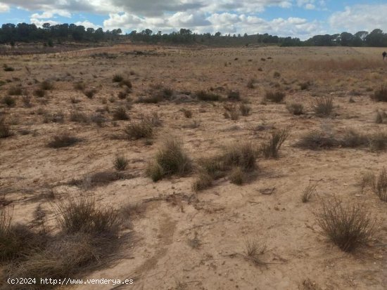 Parcela en Jumilla, ideal para construir una casa