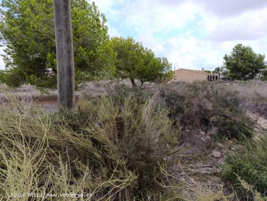 Terreno Urbano en Elche, Pedanías Zona Valverde - Oportunidad Única