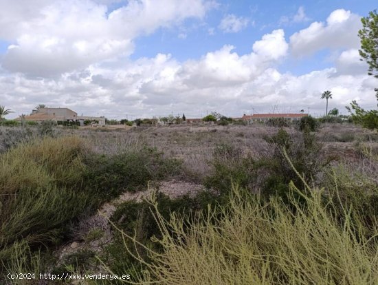 Terreno Urbano en Elche, Pedanías Zona Valverde - Oportunidad Única