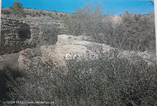 VENTA DE TERRENO EN MONOVAR, ZONA COLLADO VICTORIANO - ALICANTE