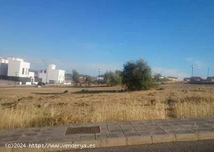  TERRENO EN VENTA EN FREGENAL DE LA SIERRA - BADAJOZ 