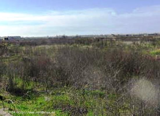 TERRENO URBANIZABLE EN PUEBLONUEVO - BADAJOZ