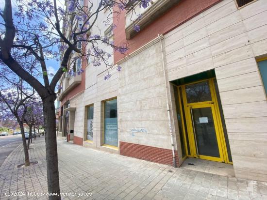 LOCAL COMERCIAL EN ZONA PAU II !!! - ALICANTE