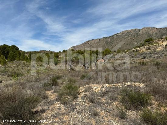 TERRENO EN LA CANALOSA - ALICANTE