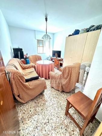 HIGUERON - Parcela de 765m² con casa de unos 140m² y por separado nave-trastero de unos 100m² - C