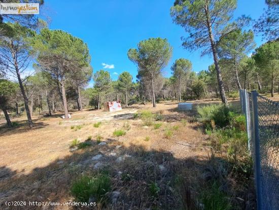 TERRENO RÚSTICO EN VENTA. ENTRE LOS MUNICIPIOS DE VIANA Y BOECILLO - VALLADOLID