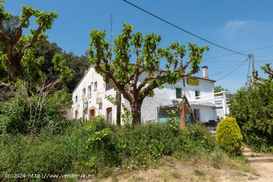 Masia casa pairal amb quadres de cavalls i restaurant - BARCELONA