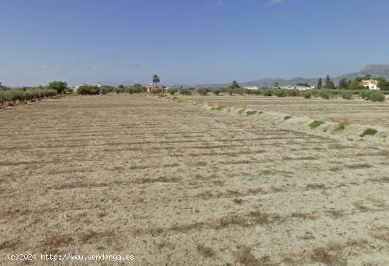  PARCELA PARA EDIFICAR O CULTIVAR EN CAZALLA. - MURCIA 