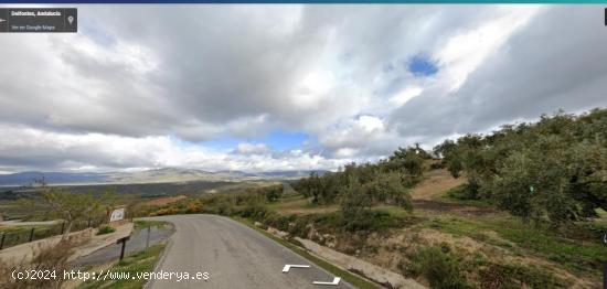  Terreno agrario en venta en Deifontes. - GRANADA 