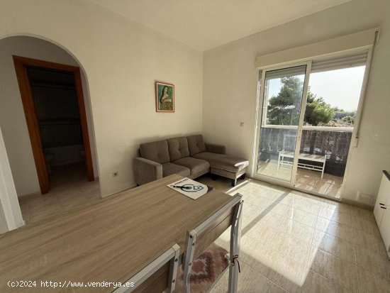 Piso en venta en Guardamar del Segura (Alicante)