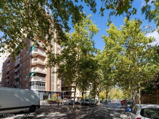  Apartamento en alquiler en Granada (Granada) 