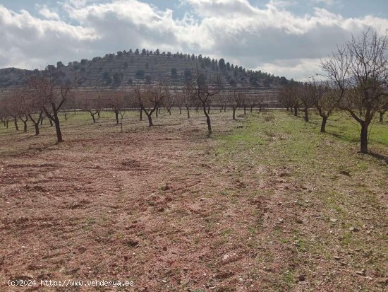  Finca en venta en Vélez-Rubio (Almería) 