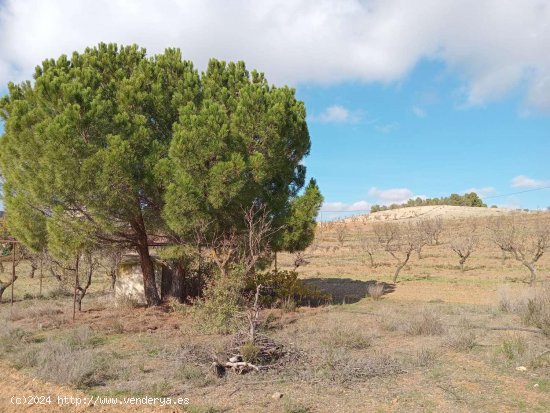 Finca en venta en Vélez-Rubio (Almería)