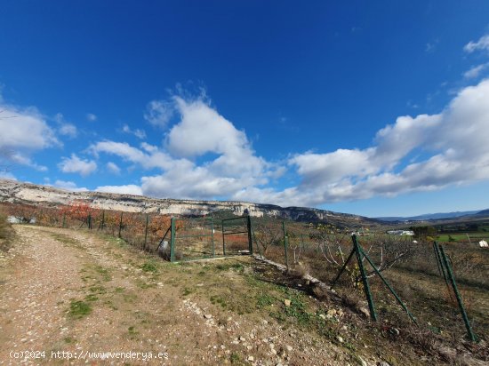 Finca en venta en Echarri (Navarra)