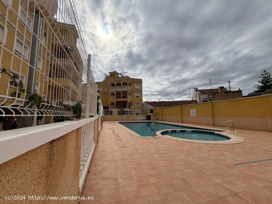  Apartamento en alquiler en Almoradí (Alicante) 