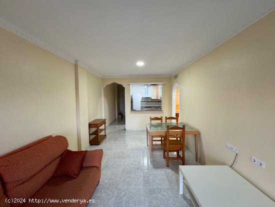 Apartamento en alquiler en Almoradí (Alicante)