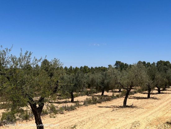 Finca en venta en Cretas (Teruel)