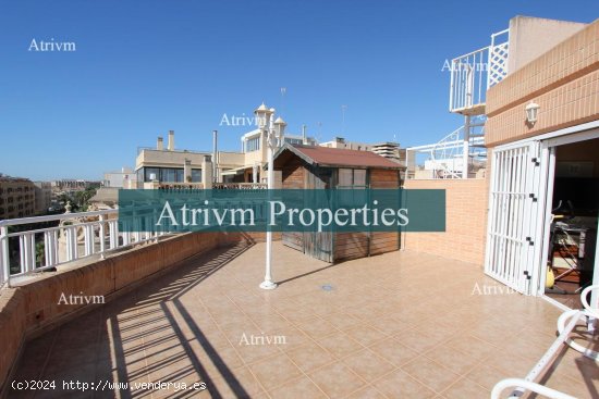 Apartamento en alquiler en Guardamar del Segura (Alicante)